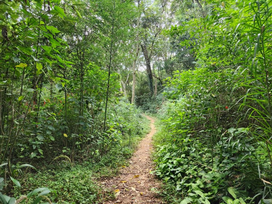 image01