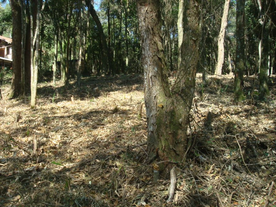 image01