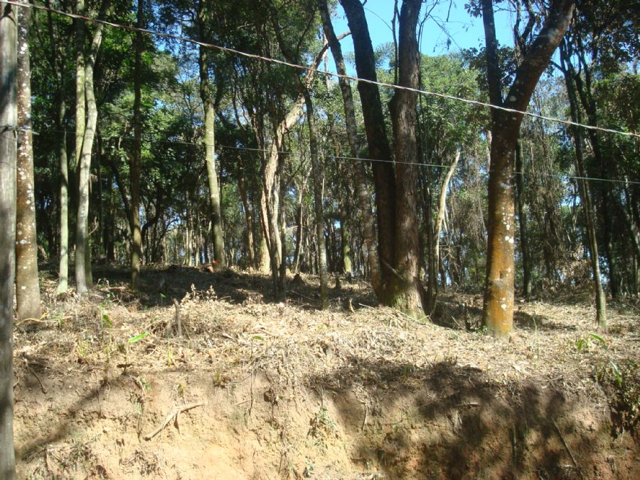 image01