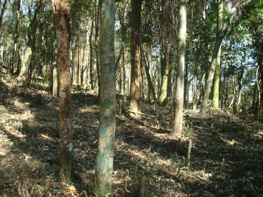 image01